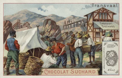 Mine, Transvaal